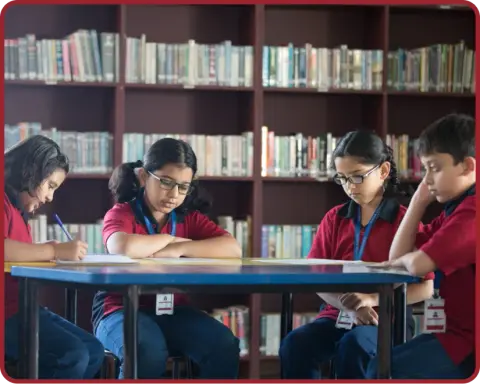 Your journey starts in our library