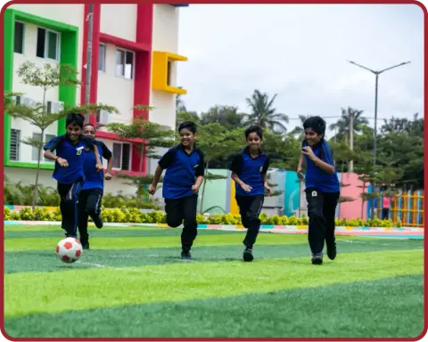 Your journey in sports begins here