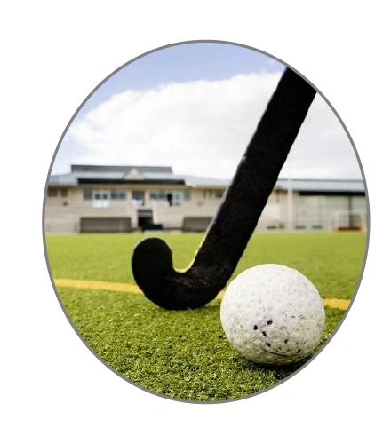 National Game Hockey