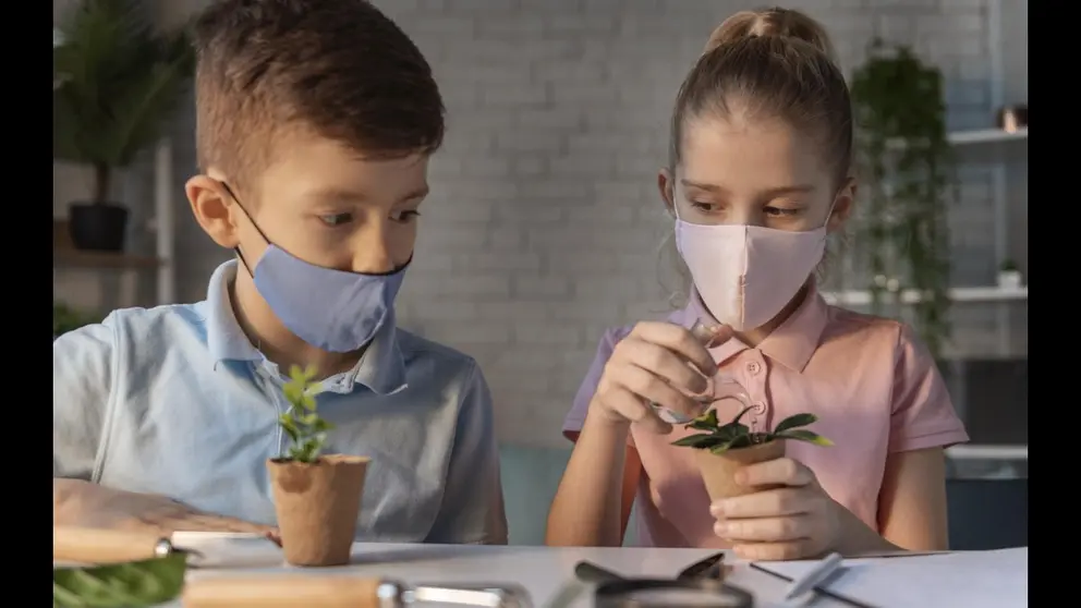 The Integral Role of Schools in Promoting Eco-Friendly Practices