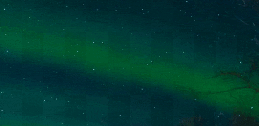 What Are the Northern Lights
